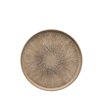Earth - Plate 20cm