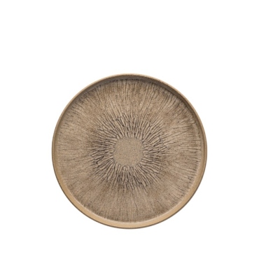 Earth - Plate 20cm
