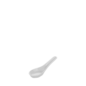 Asian Spoon