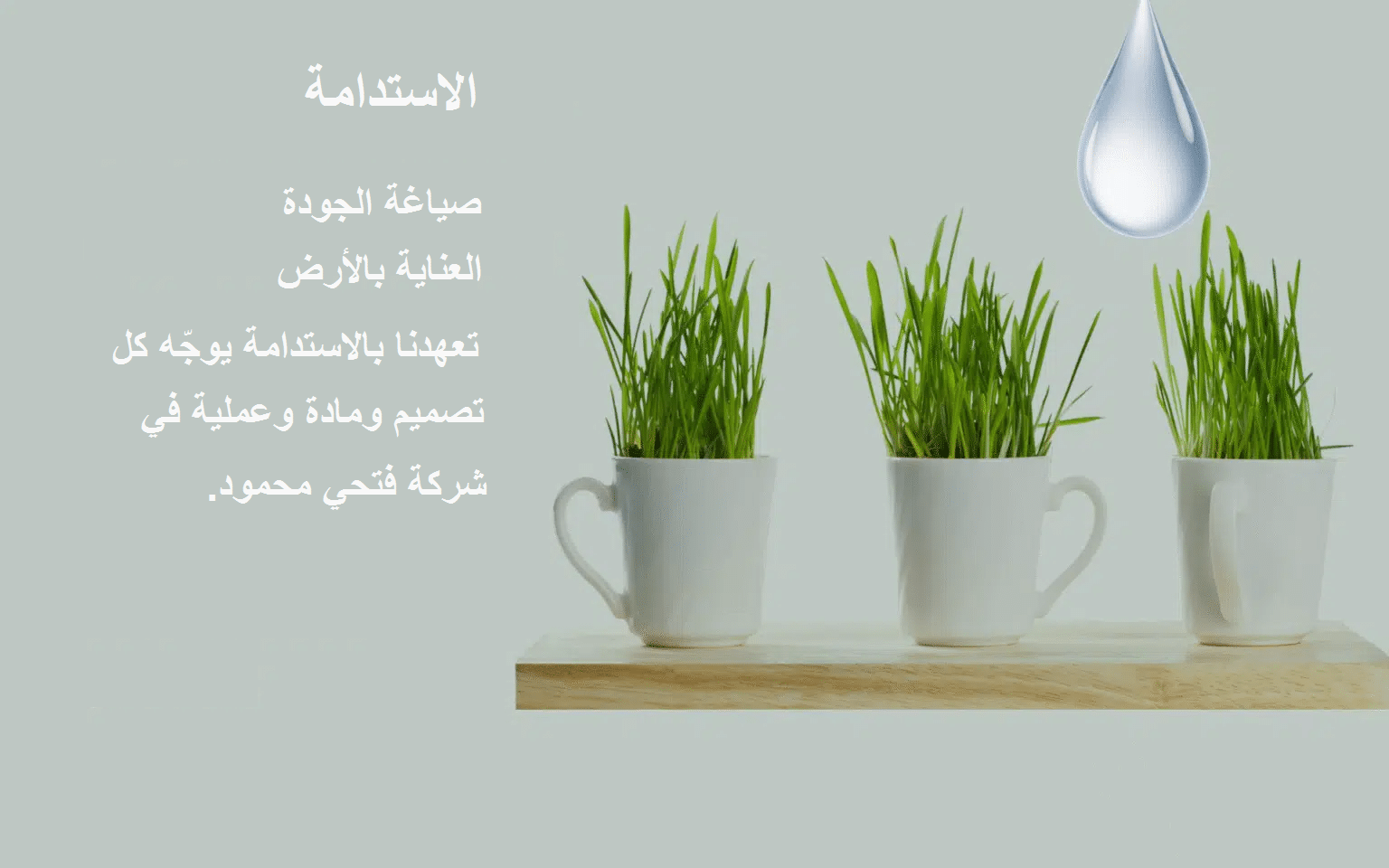 sustainability porcelain producer Egypt Fathy Mahmoud